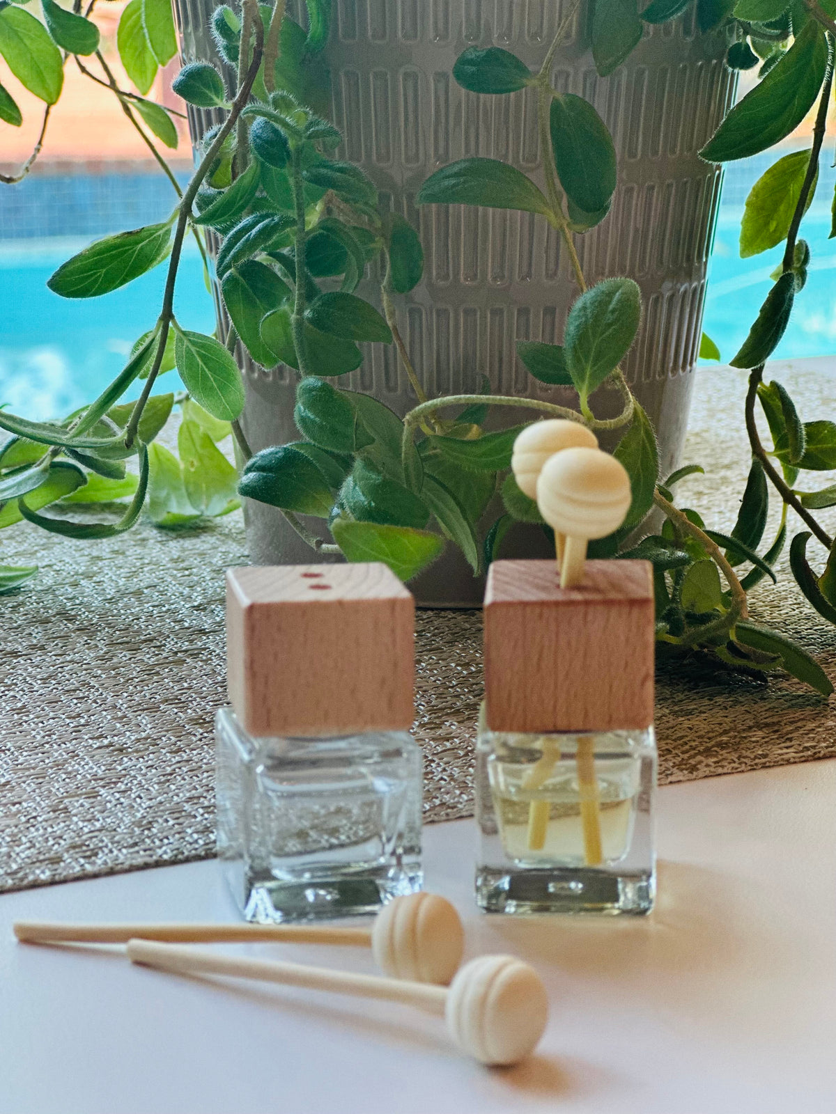 Clipped Car/Room Diffuser - Infused with 100% Pure Essential Oil